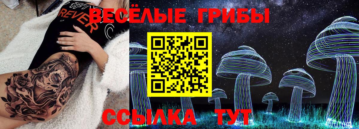 Кулебаки  Псилоцибиновые грибы ЛСД  Галлюциногенные грибы Psilocybe  Вход с VPN 